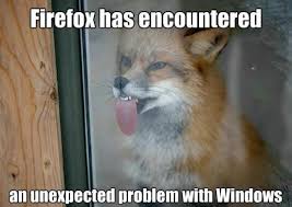 Image result for funny animal pictures