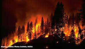 red flag (fire weather) warning Picture