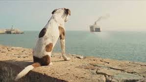 News source: Radio France