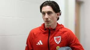 Fifa World Cup qualifying semi-final: Wales v Bosnia-Herzegovina - build-up to kick-off