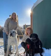 Pet-Sitting Services Rise Amidst Dog Attack Tragedy
