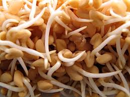 Image result for Fenugreek