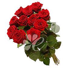 images?q=tbn:ANd9GcQA--zWz6rpSGuBoeA7ALw5OCV4j05iW5ru0aBAH4vlH-fZRp-sSQ