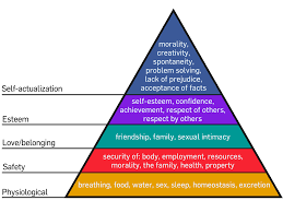 Image result for Maslow's hierarchy of needs