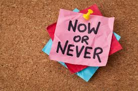 Image result for now or never