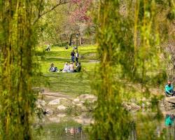 Image of Olmsted's park designs with diverse groups of people