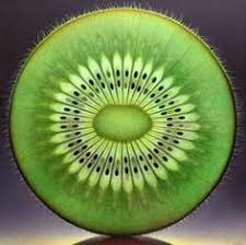 Image result for patterns of nature