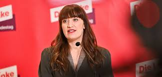 heidi reichinnek erkrankung