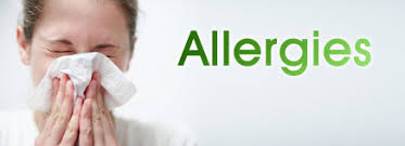 Image result for allergy