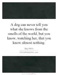 A dog can never tell you what she knows from the smells of the... via Relatably.com