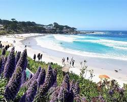 Image of Carmel Beach, California