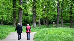 Rente: Kabinett beschließt Erhöhung der Renten um 4,24 Prozent