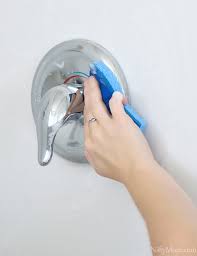 tile and tub cleaner spray ile ilgili görsel sonucu