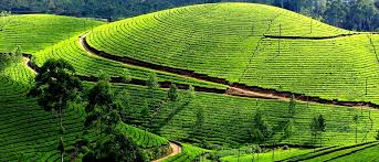 Image result for Package tour to Bangalore, Mysore, Ooty