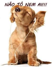 Resultado de imagem para imagens