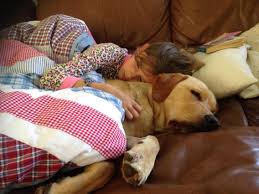 For those of you who have been following this mad page for a while, you will know exactly who Spencer The Legendary Labrador was. He was nearly always the catalyst for a