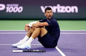 Trend Google: djokovic