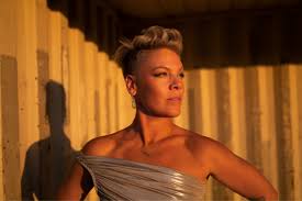 International Pop Sensation P!nk Joins Forces with PEN America to Distribute 2000 Banned Books at Florida Concerts