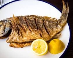 Image of Bluegill fish, Black Crappie fish, and panfried whole fish