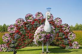 Image result for images of flower garden in dubai