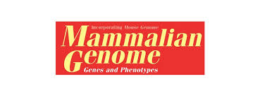 The authors include Laura J. Sittig, Choongwon Jeong, Emily Tixier, Joe Davis, Camila M. Barrios Camacho, and Abraham A. Palmer. Mammalian Genome-1 - Mammalian-Genome-1