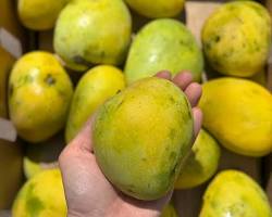 Image of Banganapalli mango