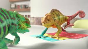 Image result for chameleons changing colour + images