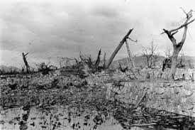 Image result for hiroshima castle before and after