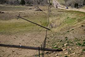 Fallen and leaning utility poles in a rural field.