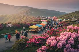 Vladivostok’s Rhododendron Festival Draws Tourists and Locals to Russia For An Immersive Spring Tourism: All You Need To Know