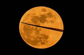 News source: The Guardian