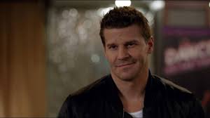 David Boreanaz Confirms the Fate of His Beloved 12-Part Crime Series Revival