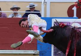Desdelcallejon - News update