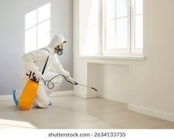 Image de pest control professional spraying chemical treatment high quality royalty free