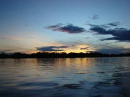 Resultado de imagem para rio Amazonas