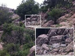 نتیجه تصویری برای تست هوش تصویری شکل در شکل