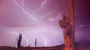 azcentral.com and The Arizona Republic - News update