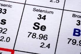 Image result for selenium foods