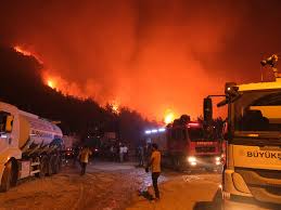 Al Jazeera - News update