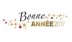 Résultat de recherche d'images pour "bonne année 2017 livre"