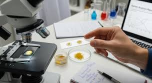 STAR: inteligencia artificial y biotecnología redefinen los límites de la fertilidad masculina