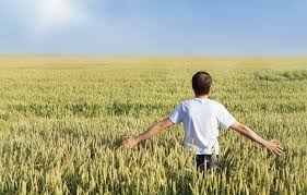 images?q=tbn:ANd9GcQBxbEA1fmOmWzLLoYyJNN46e7Jc4O77049DC-2aou5gR6S0iO_sg