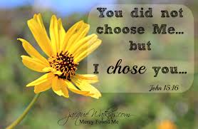 Hasil gambar untuk god CHose you