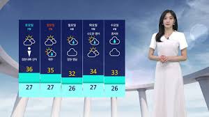 SBS 뉴스 - News update