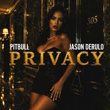 Pitbull and Jason Derulo Reunite on ‘Privacy’