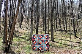 Résultat de recherche d'images pour "us navy quilt block"