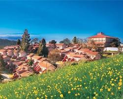 Image of Ooty lake view