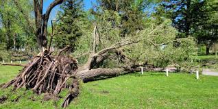 Pike County looks to rebuild after storm damage