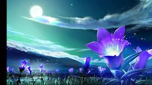 Resultado de imagem para flor