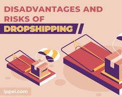 Low risk of dropshipping business